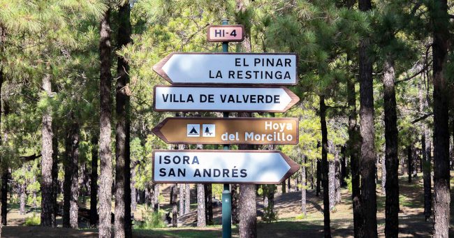TransHierro: medio ambiente y sostenibilidad para la isla de El Hierro